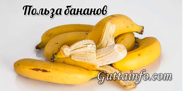 Польза бананов для нашего организма